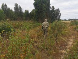 2024-05-26 Treino no Campo de Treino BEAR